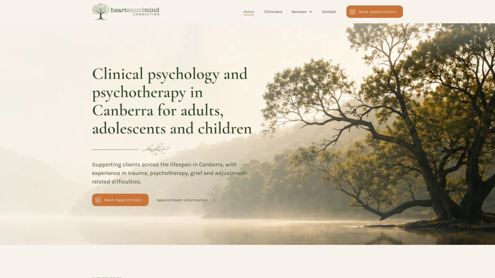 HeartSoundMind Consulting website homepage